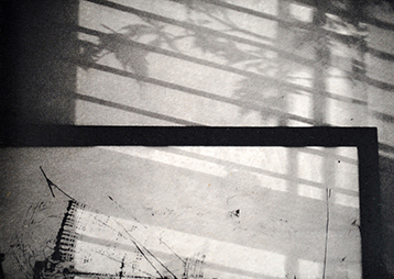 Irene Nelson